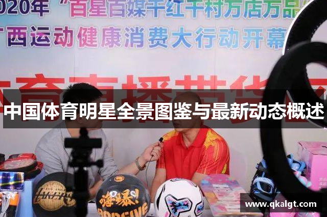 中国体育明星全景图鉴与最新动态概述